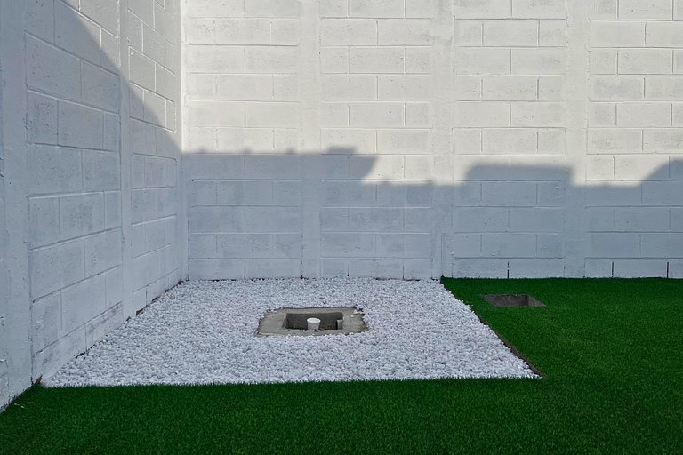 Colibri de Montaña Ahuachapán