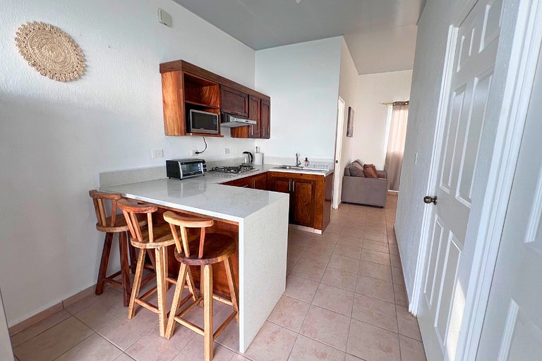 Colibri de Montaña Ahuachapán