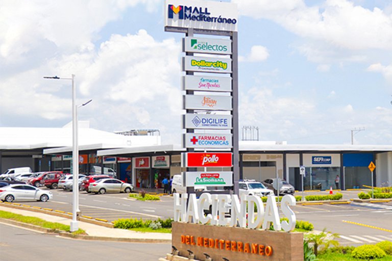 Colibri de Montaña Ahuachapán