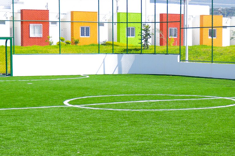 Colibri de Montaña Ahuachapán